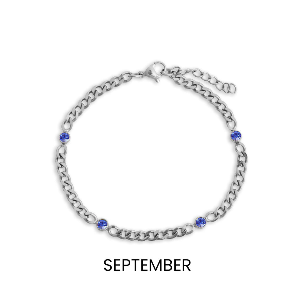 Stainless Steel Bracelet - Birthstone Station Link Adjustable Chain Jewelry