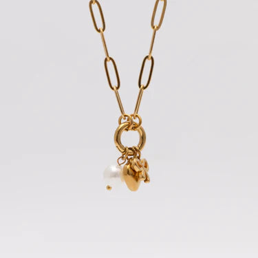 18K Gold PVD Stainless Steel Bow Charm Holder Necklace Gift Set