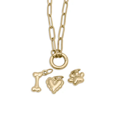 18K Gold PVD Stainless Steel Pet Charm Holder Necklace Set