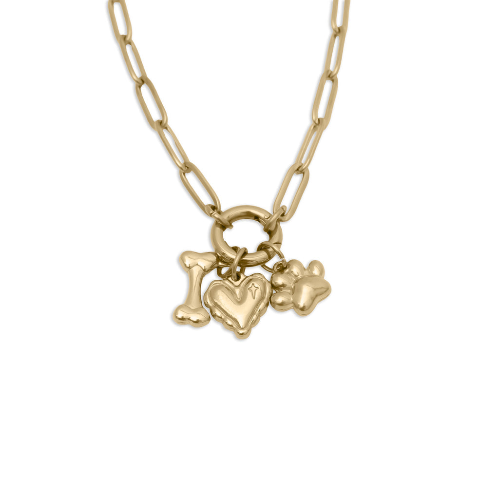 Pet Charm Necklace – Adjustable Gold Stainless Steel Paperclip Charm Holder