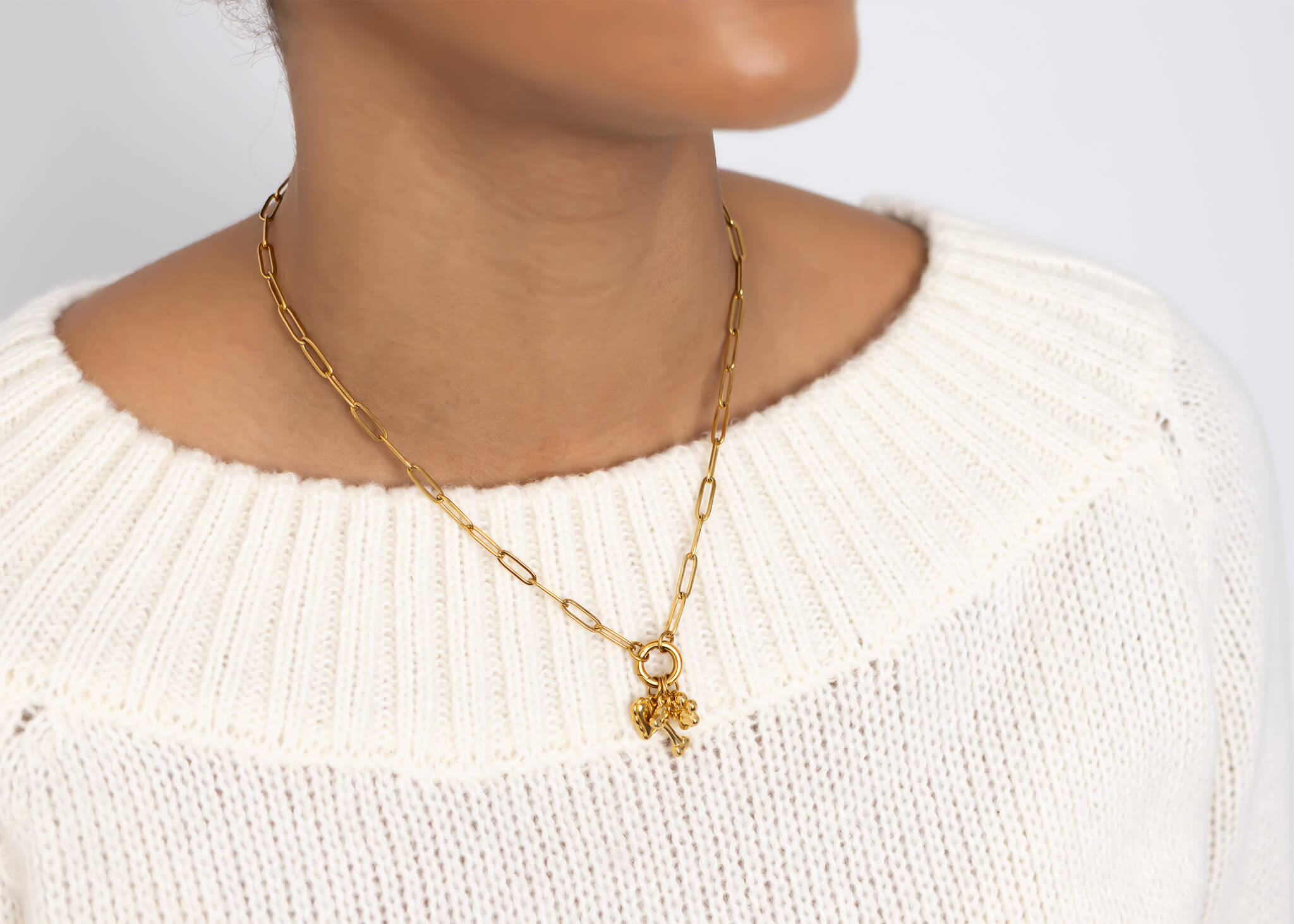 Pet Charm Necklace – Adjustable Gold Stainless Steel Paperclip Charm Holder