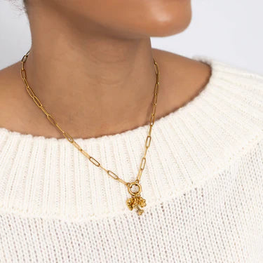 18K Gold PVD Stainless Steel Pet Charm Holder Necklace Set