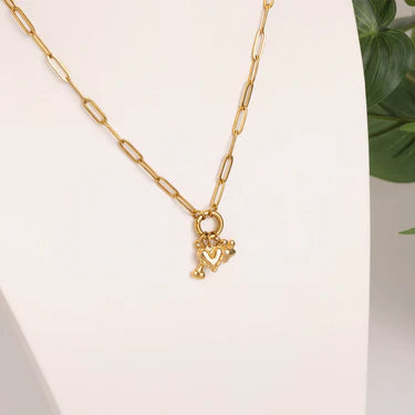 18K Gold PVD Stainless Steel Pet Charm Holder Necklace Set