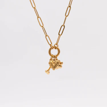 18K Gold PVD Stainless Steel Pet Charm Holder Necklace Set