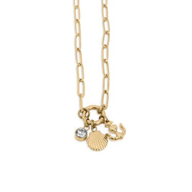 18K Gold PVD Stainless Steel Shell Anchor Charm Holder Necklace Set