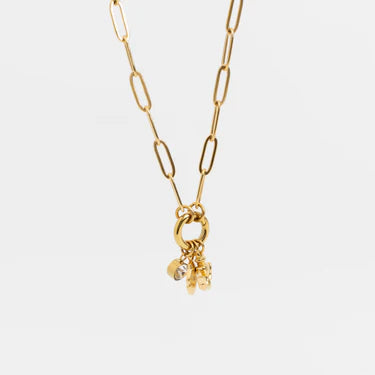 18K Gold PVD Stainless Steel Shell Anchor Charm Holder Necklace Set