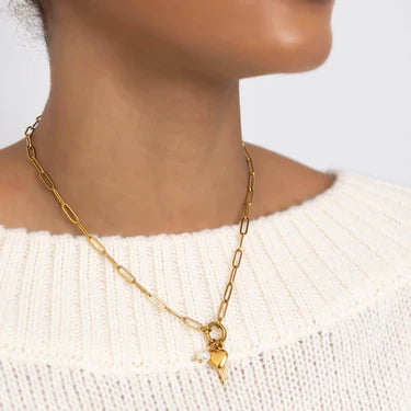 18K Gold PVD Stainless Steel Angel Wing Charm Holder Necklace Set