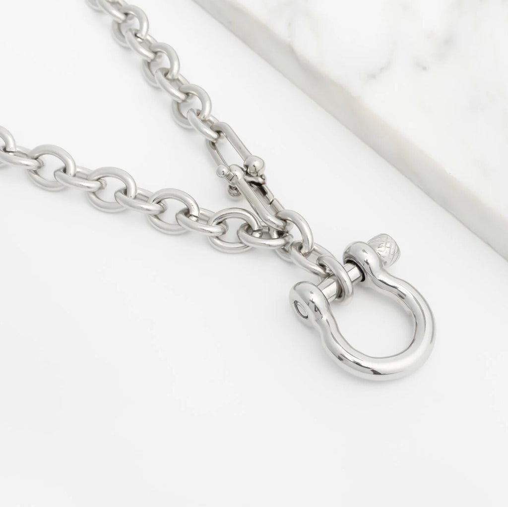 Silver Y Necklace with Horse shoe Carabiner with a clasp on a white background