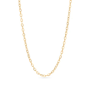 18K Gold PVD Stainless Steel PVD Coated Loop/Cable Chain Necklace