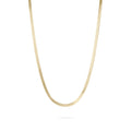 Gold chain necklace on a white background