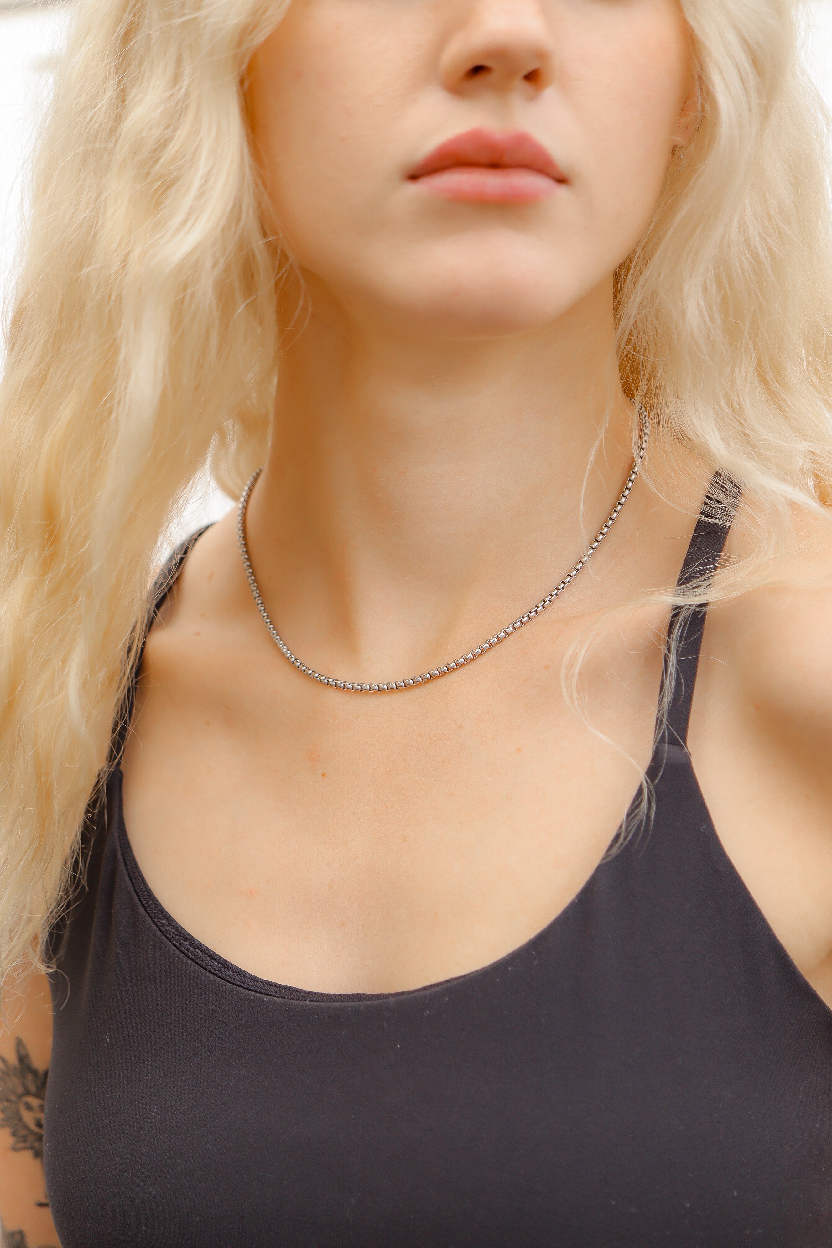 18K Gold PVD Stainless Steel Rounded Box Chain / CHN9952