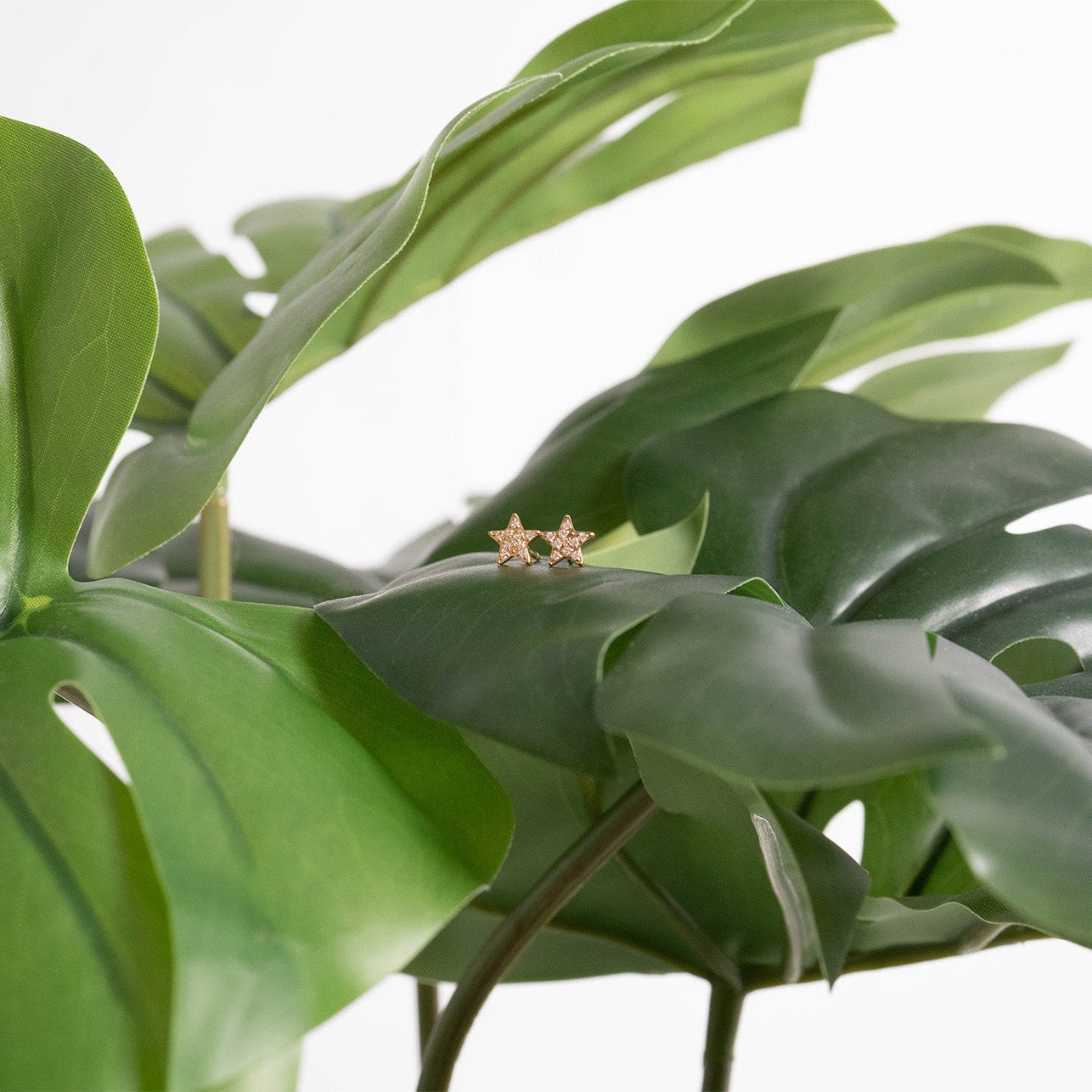 18K Gold Stud Earrings – Star Shaped Stainless Steel Hypoallergenic Jewelry