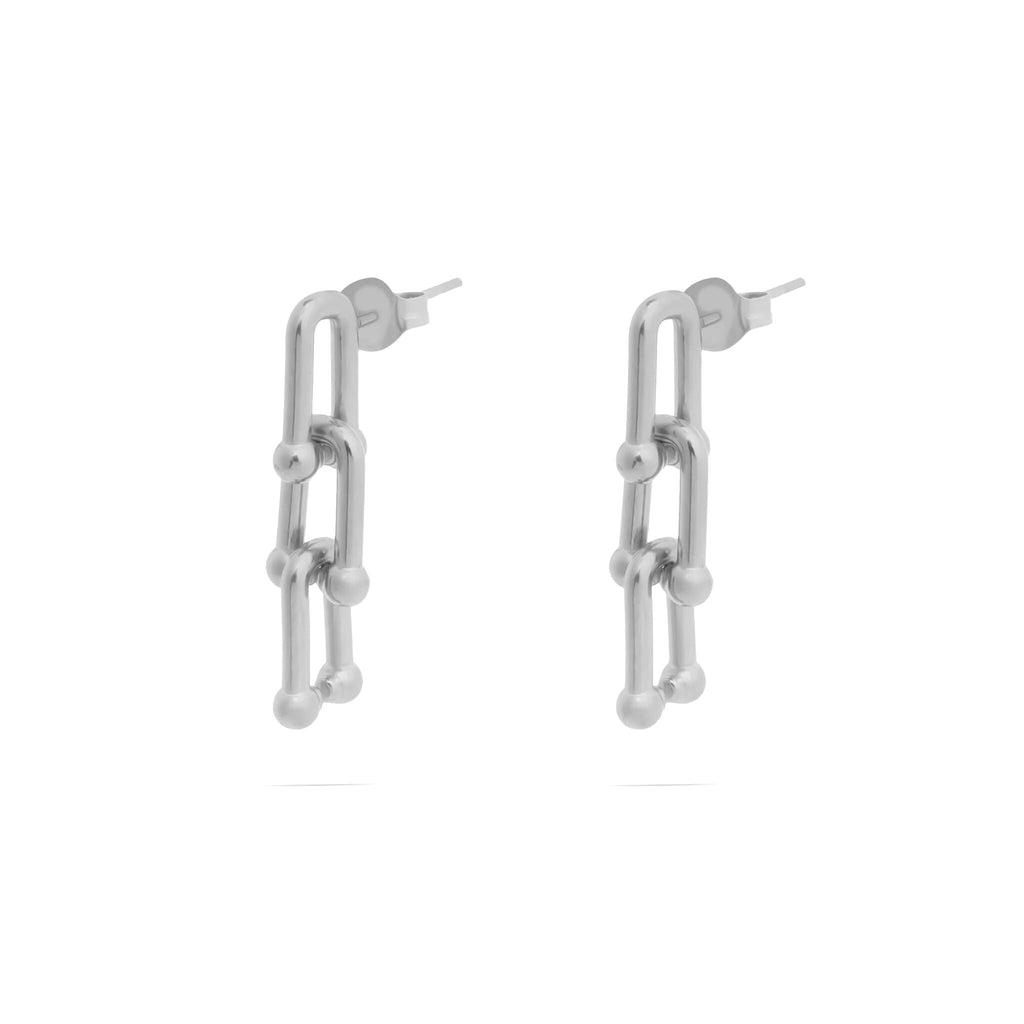 Pair of silver chain-link earrings on a white background