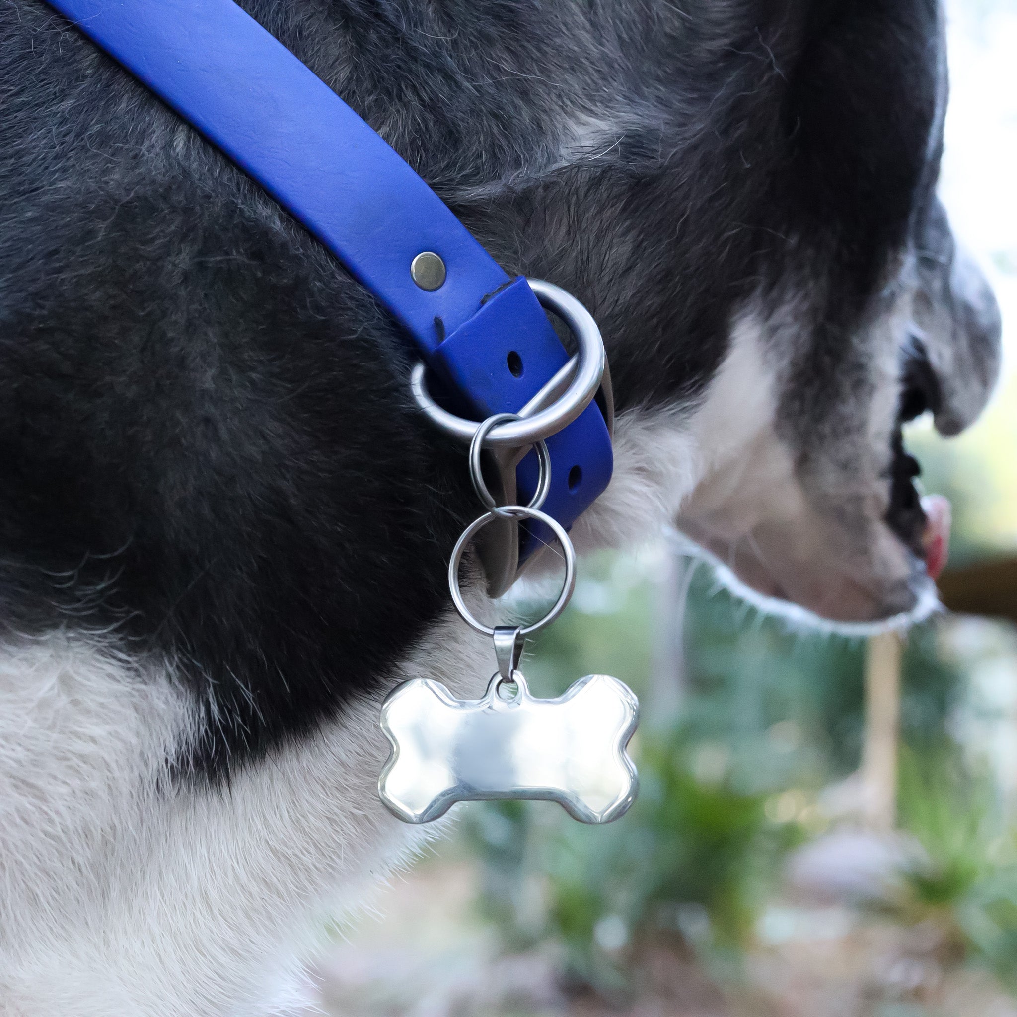 Gold Dog Bone Tag – 18K Gold Coated Stainless Steel Pet ID Tag | Durable, Scratch Resistant