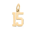 Gold Sport Number Pendant – Small 18K PVD Coated Stainless Steel Charm