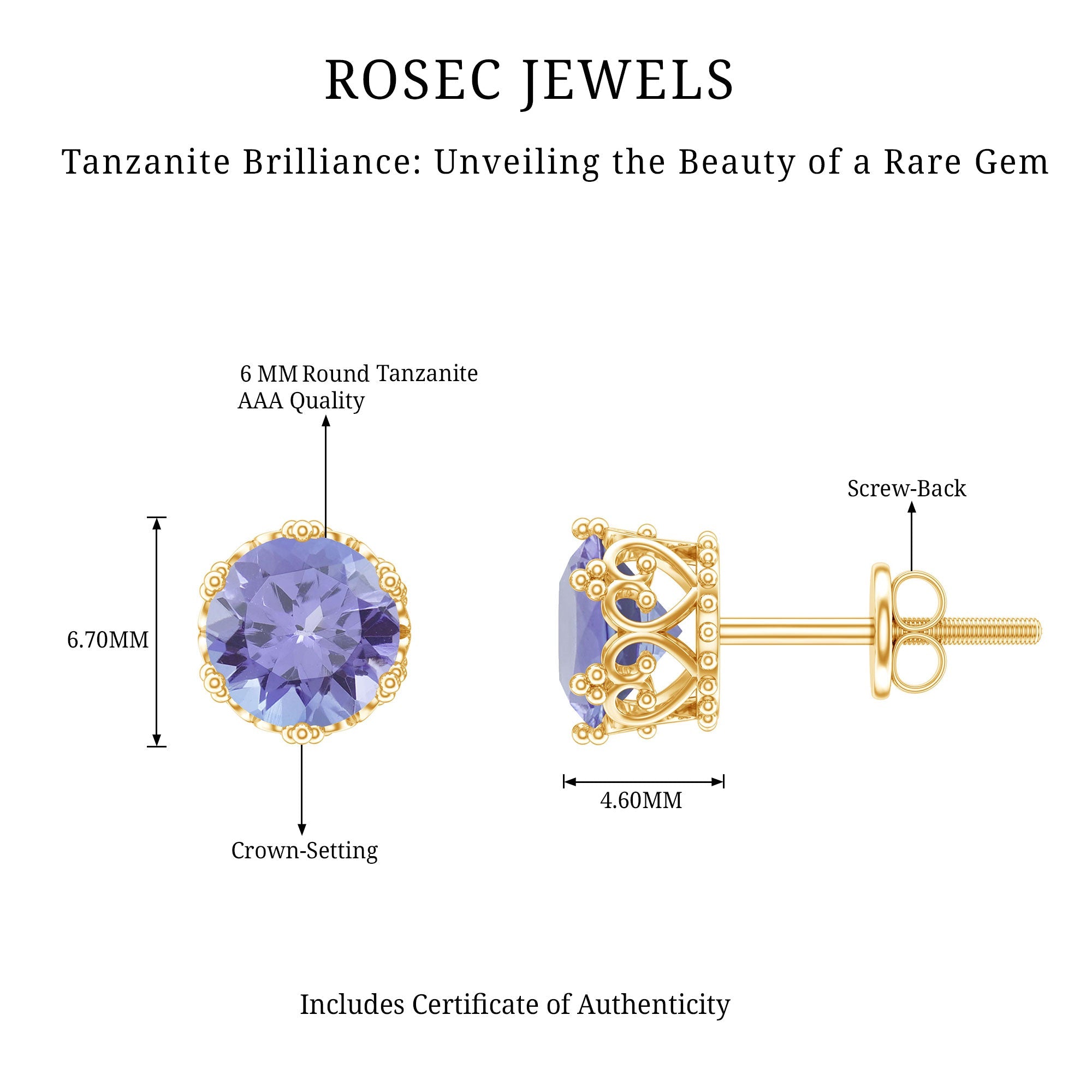 Natural 1 Carat Tanzanite Crown Stud Earrings with Screw Back