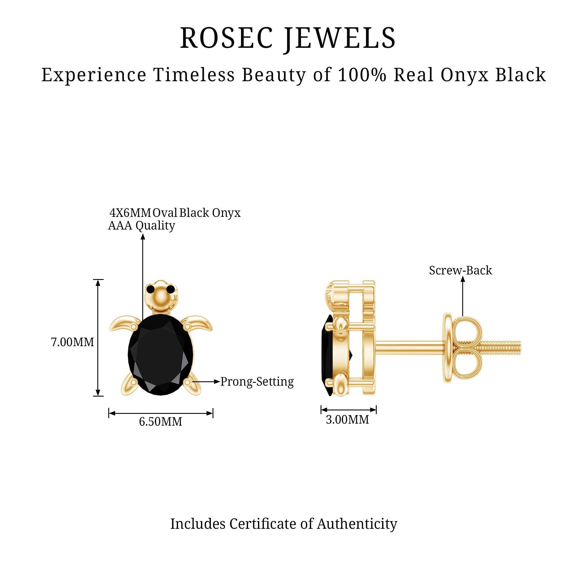 Oval Shaped Black Onyx Turtle Stud Earrings