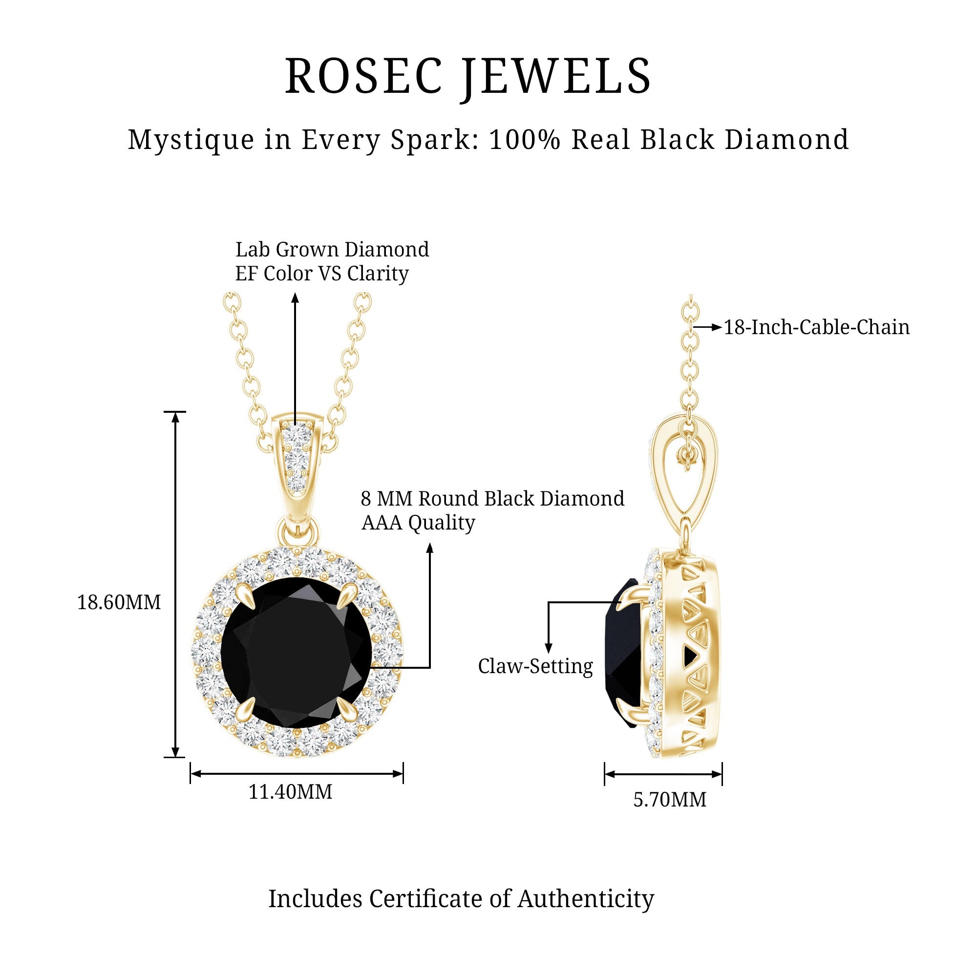 Natural 2.3 Carat Round Shaped Black and White Diamond Halo Necklace with Chain