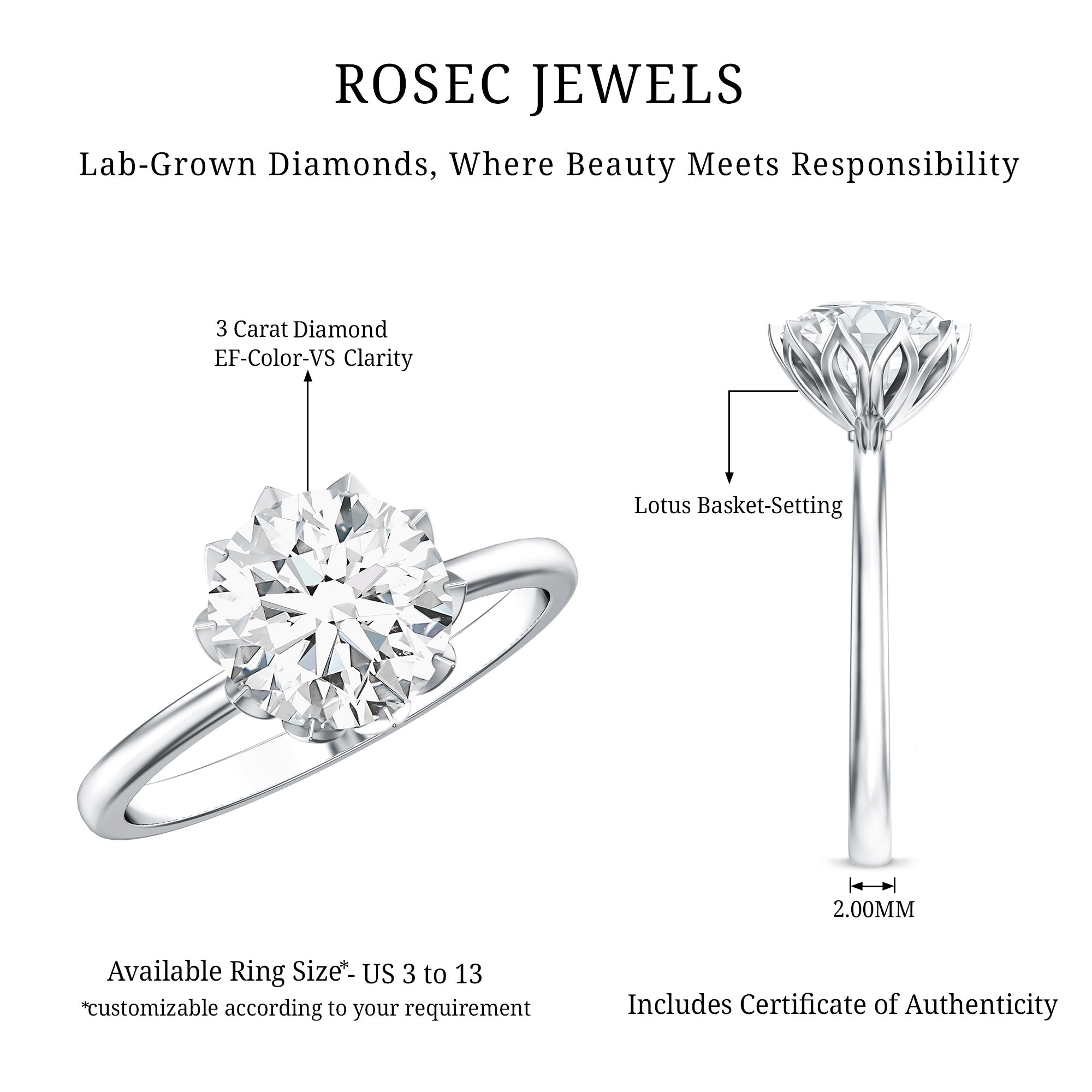 Lab Grown Diamond Ring - 3 Carat Lotus Basket Setting | IGI Certified Solitaire