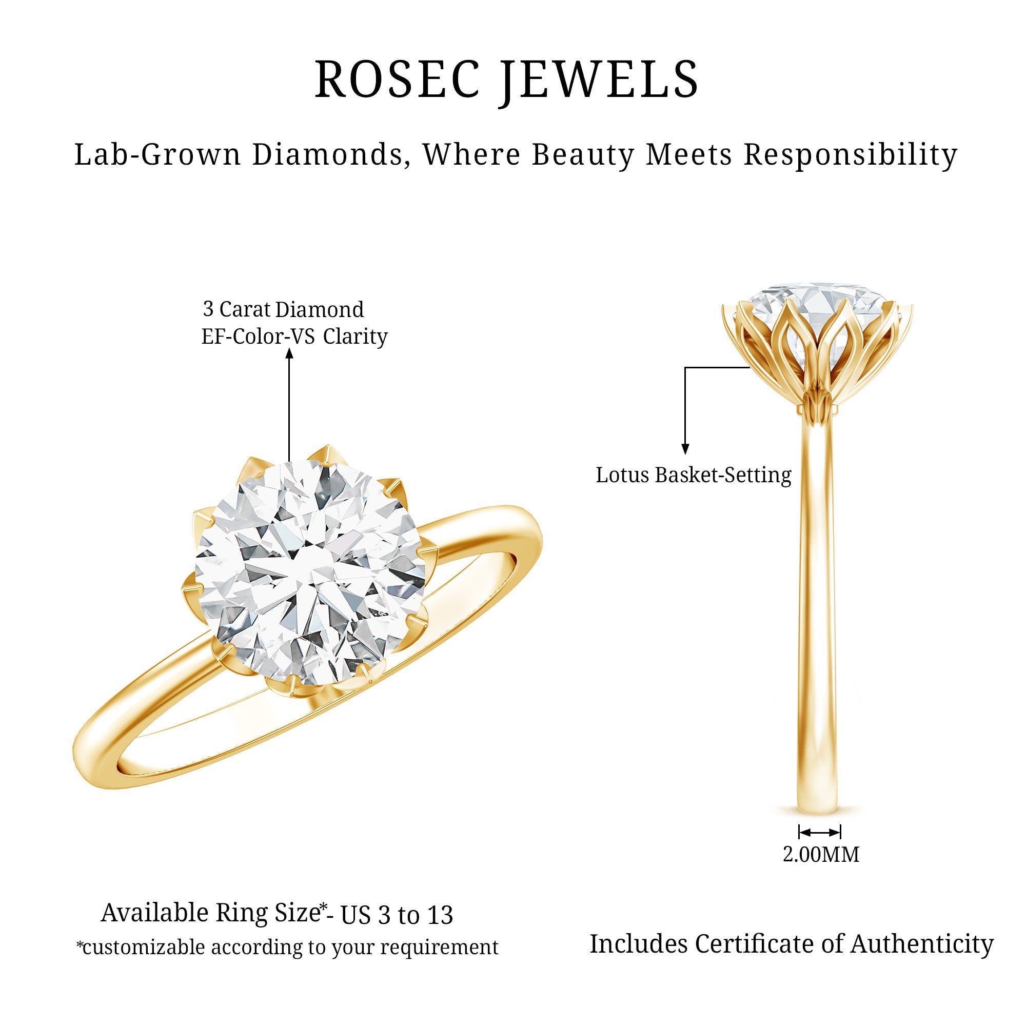 Lab Grown Diamond Ring - 3 Carat Lotus Basket Setting | IGI Certified Solitaire