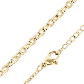18K Gold PVD Stainless Steel PVD Coated Loop/Cable Chain Necklace