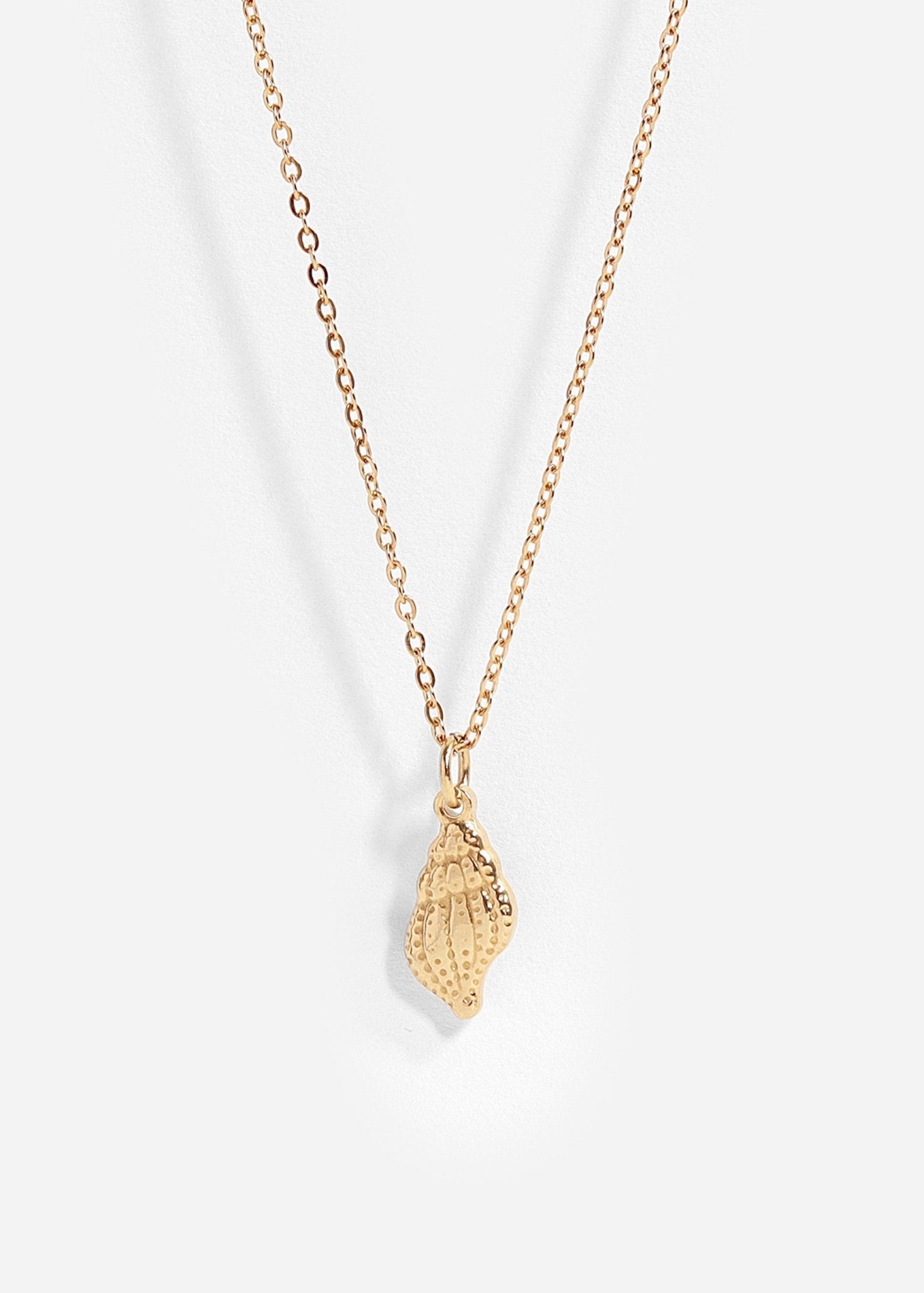 Gold Conch Charm – 18K Gold PVD Coated Stainless Steel Seashell Pendant - charm | Sunflower Soul Boutique