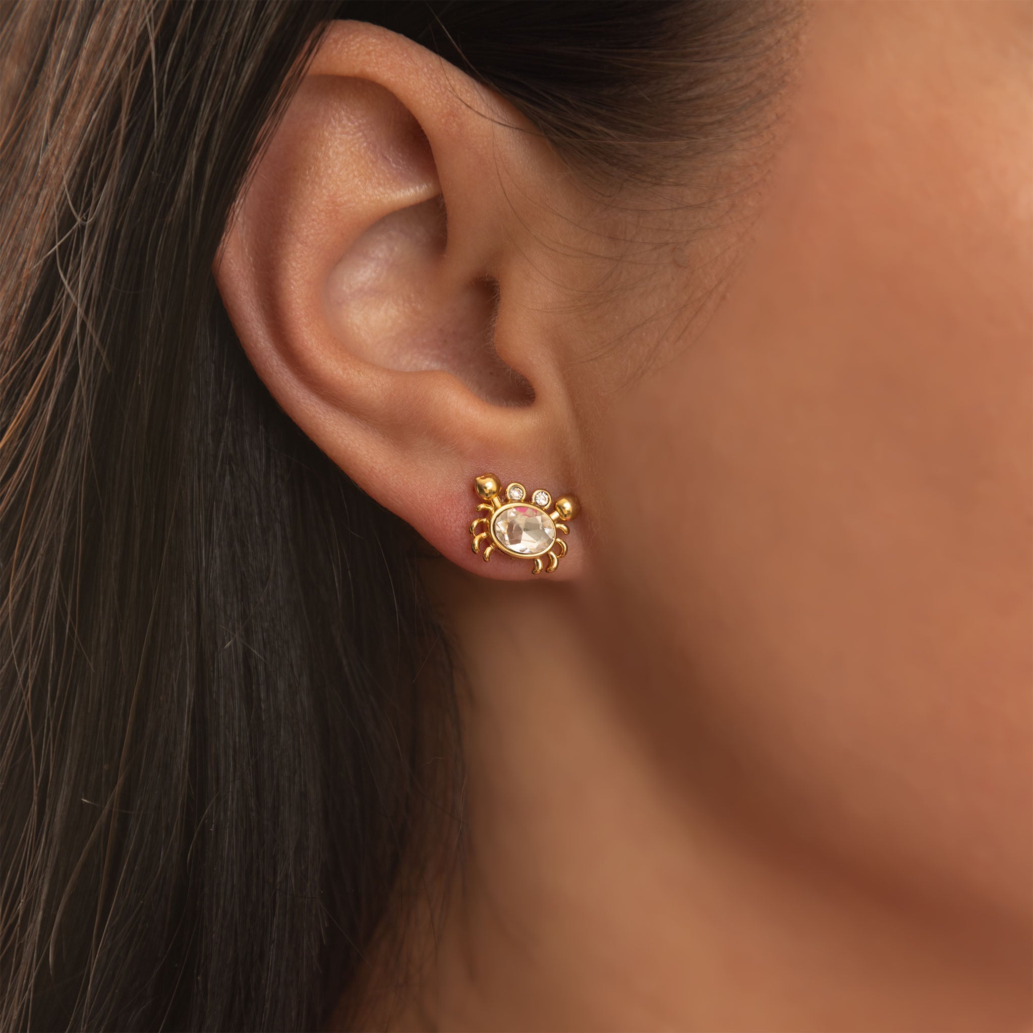 Gold Crab Earrings – Stone Crab Studs in 18K Stainless Steel | Coastal Jewelry - Earrings | Sunflower Soul Boutique