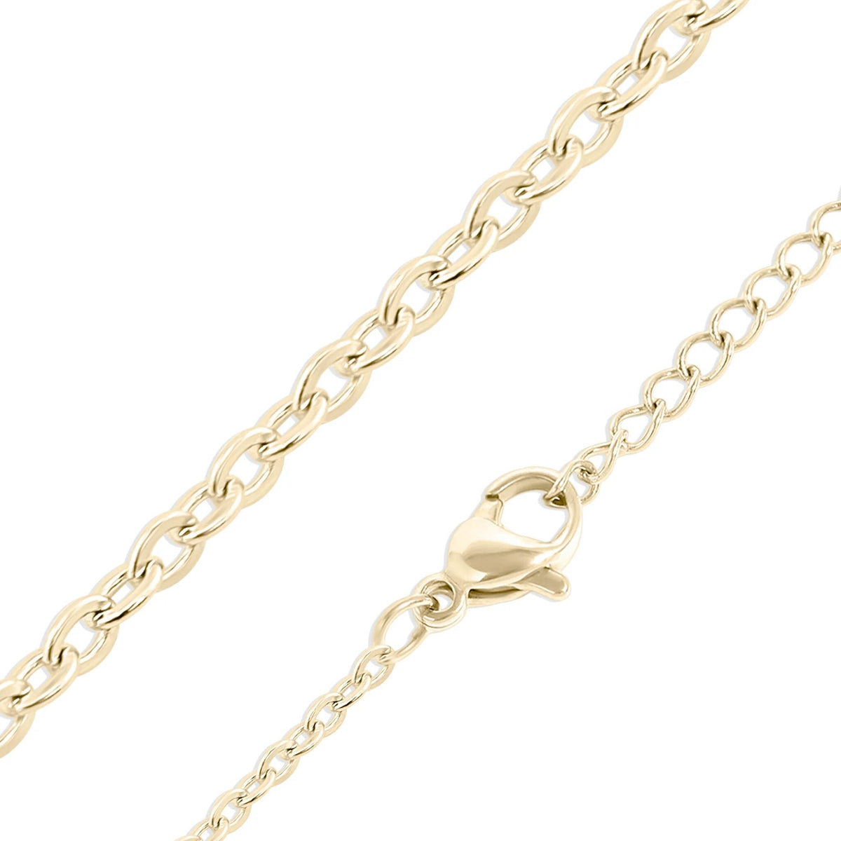 Gold chain necklace with a clasp on a white background