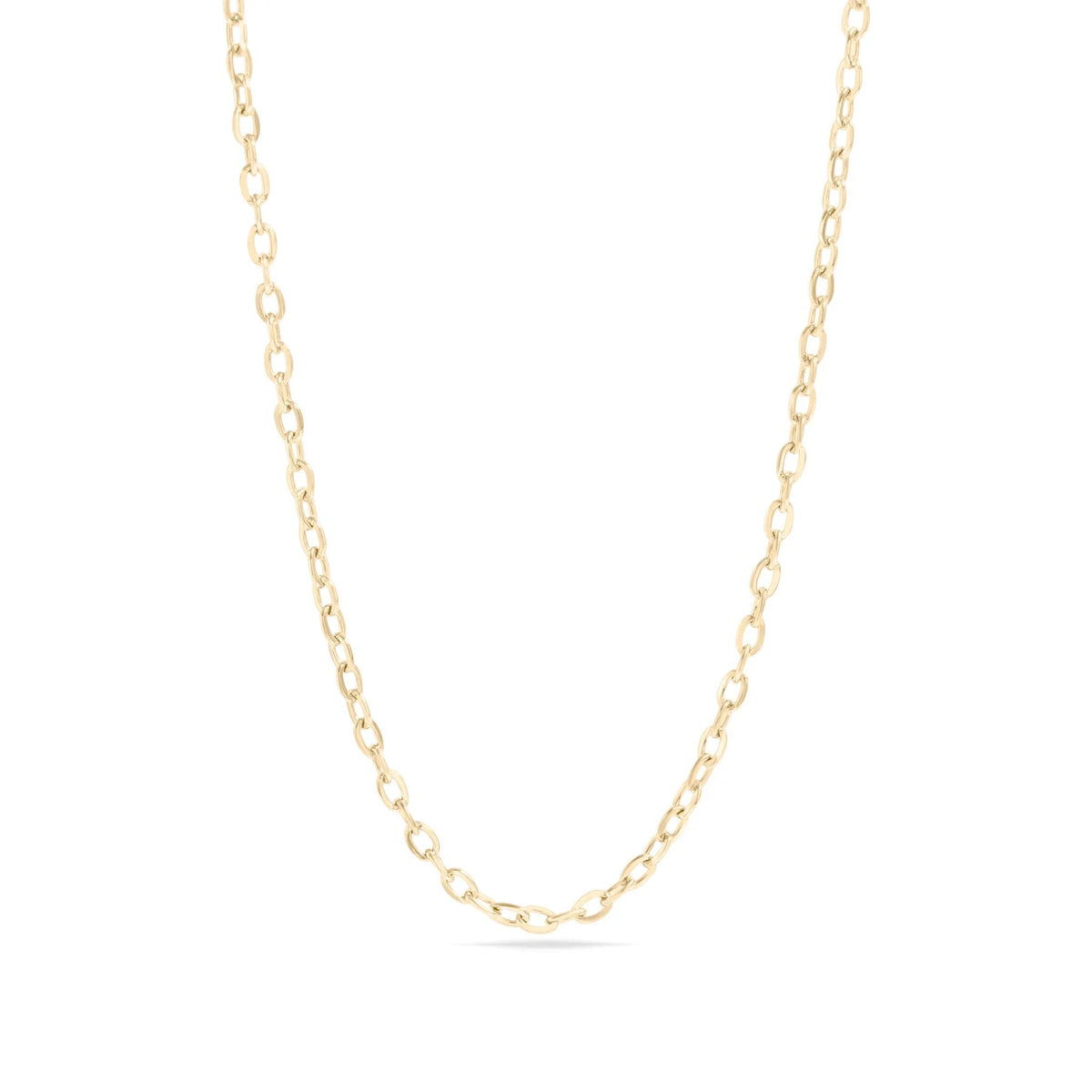 Gold chain necklace on a white background