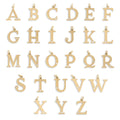 18K Gold PVD Stainless Steel Letter with Crystal Charm 15mm- A-Z