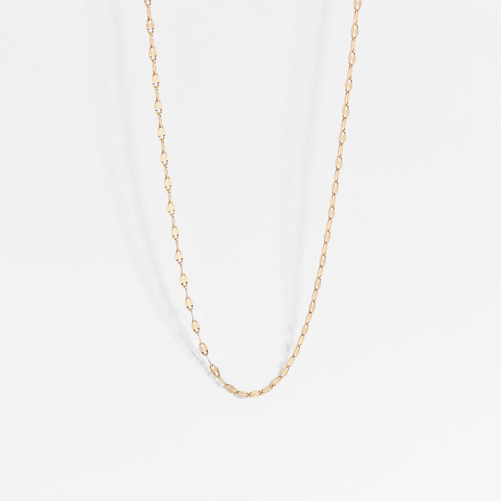 18K Gold PVD Stainless Steel Lip Chain Necklace / CHN9954