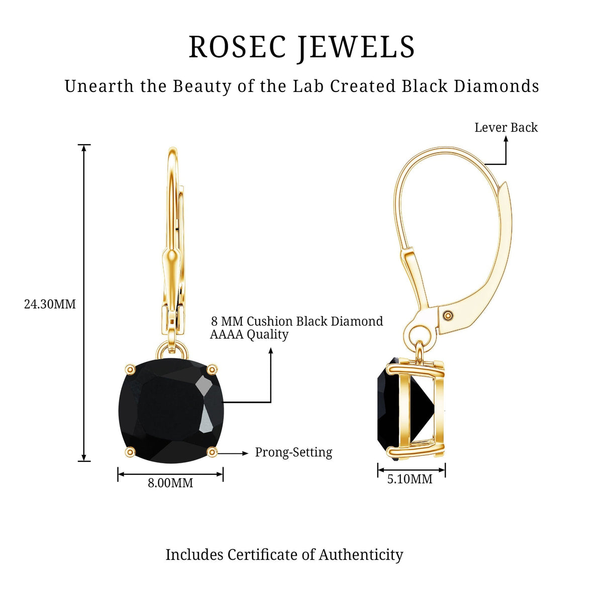 Lab Created Black Diamond Drop Earrings with Lever Back