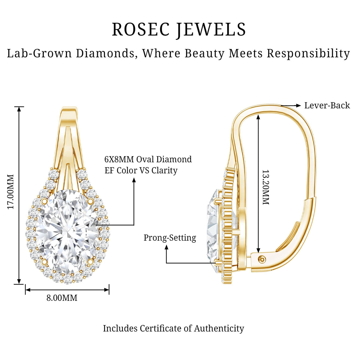 Lab Grown Diamond Earrings – Certified 2.5 Carat Oval Halo Studs With Lever Back Closure