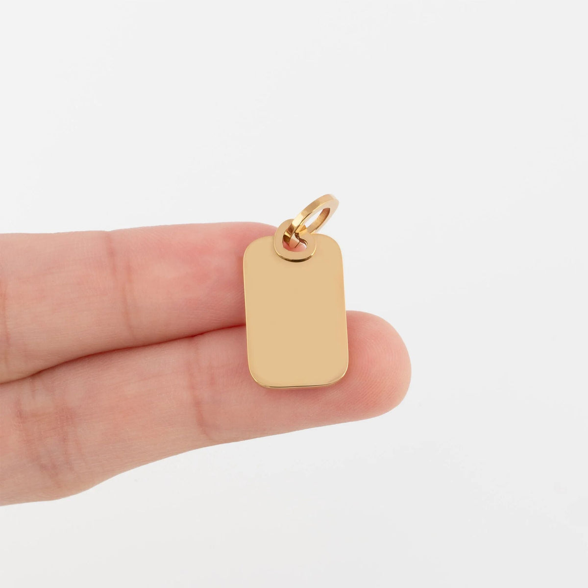 18K Gold PVD Stainless Steel Mini Tag Charm- gold scale shot 