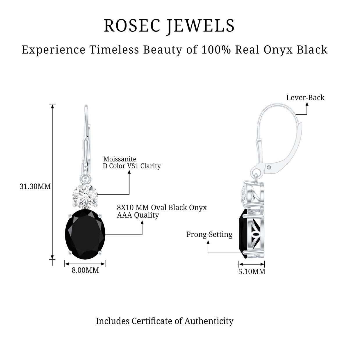 Natural 5 Carat Oval Black Onyx Drop Earrings with Lever Back