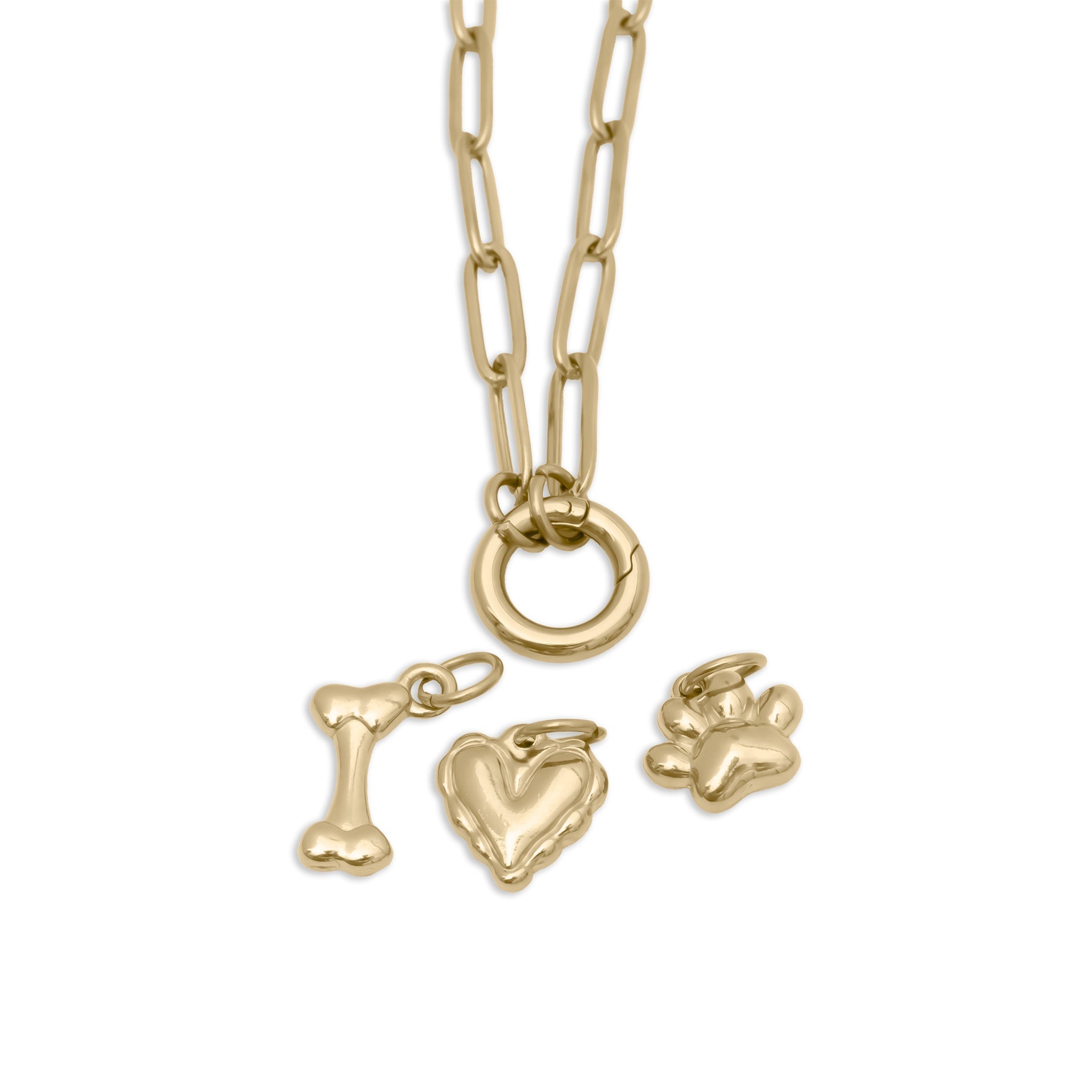 Pet Charm Necklace – Adjustable Gold Stainless Steel Paperclip Holder - Charm Necklace | Sunflower Soul Boutique
