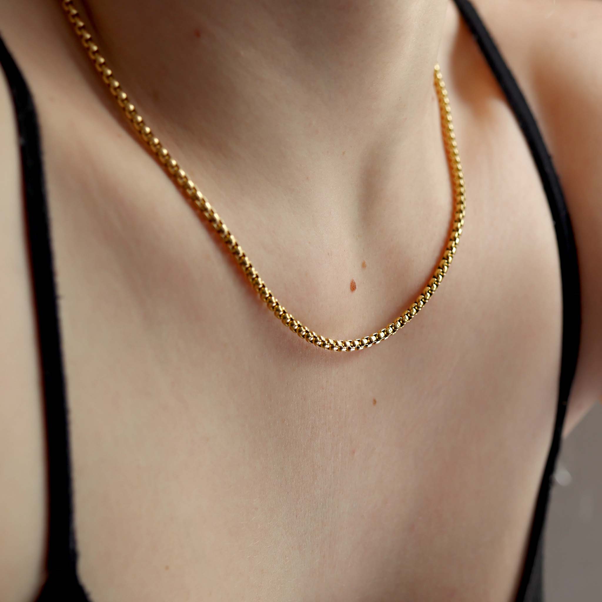 18K Gold PVD Stainless Steel Rounded Box Chain / CHN9952